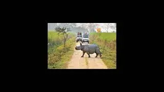 # beauty of Bodo land | btr assam | status | ❤️❤️