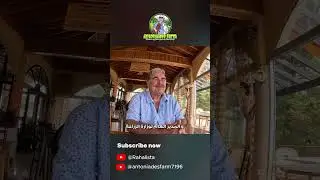 Welcoming Rahalista to Antoniades Farm | Shami Goats & Chios Sheep Tour