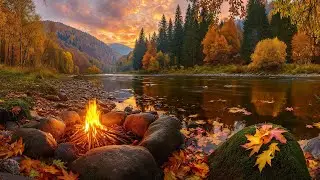 Morning Campfire Ambience 🌅 Relaxing Nature Sounds &mdash; Fire, Water & Birds