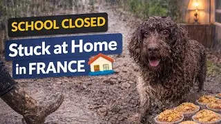 A Real Winter Day in the South of France School Closed + Flood Warnings