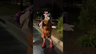 2025 WDW Half Marathon Highlights!