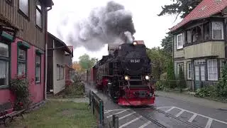 Steam of Harz Narrow Gauge Railways(Germany) (Oct.2025) 2  ハルツ狭軌鉄道の蒸気機関車（ドイツ）（2025年10月）2