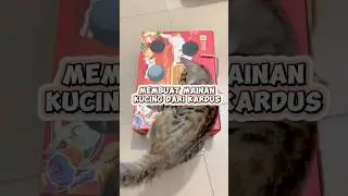 Membuat Mainan Kucing Dari Kardus #mainankucing