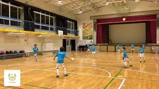 Astera #19
