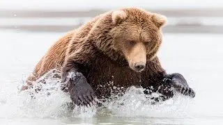 Alaska Photography Tour - Best of Alaska