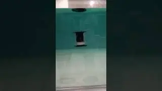 Autonomous Profiling Float