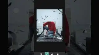 Bird Photo Editing Background Change 😱 / PicsArt Photo Editing #shorts #shortvideo #viral