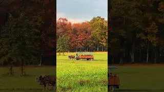 Fairytale wagon ride during Autumn 🍁 #falltravel #pennsylvania