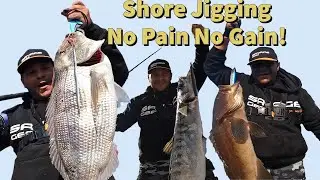 The Rock Diaries #6: Strategy and persistence to get them! NO PAIN NO GAIN!