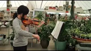 SPCA Fundraising 27th September | Emma plays Giga by Bach