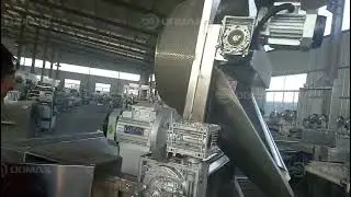 Multi-functional Potato Chips Fryer Machine Chicken Frying Machine