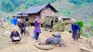 Life in a Poor and Remote Mountain Village | Farming and Livestock Raising