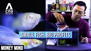 Indonesian Teacher Builds Side Hustle That Earns Almost 9X His Day Job Salary | Money Mind