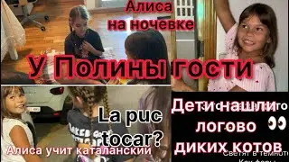 VLOG Ночевка. День первый.