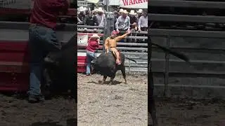 Warkworth Rodeo cowboys tormenting a Bull before he enters the ring 🤬