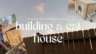 How a snake in our chicken coop gave us a cat and I built her a winter home | a quiet family story.