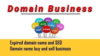 Domain Name System Buy and Sell Business | Expired domain for SEO