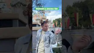 Disneyland At Christmas Time!