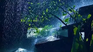 Relaxing Rain Sounds for Sleep & Focus (White Noise for Studying) | No Loop