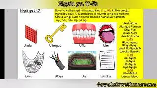 Ngeli ya U-ZI