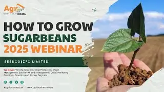 How to Grow Sugarbeans 2025 Webinar