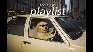 [𝙋𝙡𝙖𝙮𝙡𝙞𝙨𝙩] 플레이리스트🎧 |  내 마음이 먼저 출발했어 설렘 충전 노래들 💜soolaugh | 트렌디 POP | 광고없는 1시간 플레이리스트