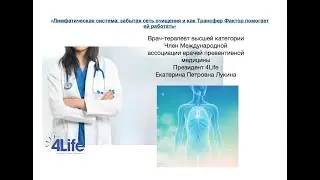 Лимфатическая система: забытая сеть очищения и как Трансфер Фактор помогает ей работать