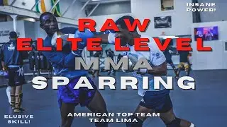 AMERICAN TOP TEAM RAW MMA SPARRING | MMA TRAINING #boxing #muaythai #mma #kickboxing #bjj #sparring