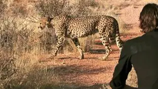 Africa 2010 holiday trailer