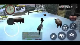Goat MMO WOW | Asmr | (Wait for it)