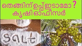 തെങ്ങിനു ഉപ്പ് ഇടാമോ ? Use of salt in Coconut tree 🌴