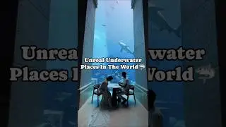 How Does This Hotels Exists Underwater?! 😮😳