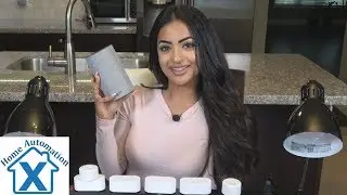 Amazon Echo & Alexa 5 Best Skills