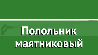 Полольник маятниковый (ЗУБР) обзор 4-39595 бренд ЗУБР производитель Зубр ОВК (Россия)
