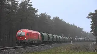 Siemens Eurorunner ER20CF-013 и 2М62м-0569 / ER20CF-013 and 2M62M-0569