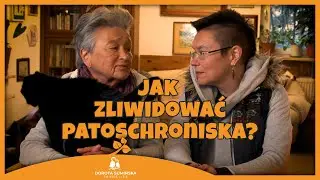PORADNIK #43: Jak zlikwidować patoschroniska?