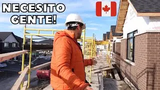 Busco gente para trabajar en mi empresa en Canadá y así puedas aplicar!