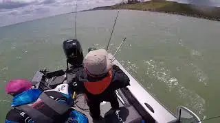 Brown Trout on Lake Michigan- Sheboygan, WI with Barb Carey 2018