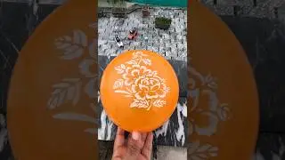 Lion Balloon & Floral Balloon Drop Test &ndash; SHOCKING Results! 🦁🌸