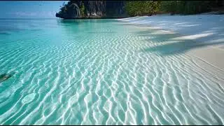 Morning Afrobeat Positive Flow | Uplifting Sunrise EDM inspired by Kygo & David Guetta 2025