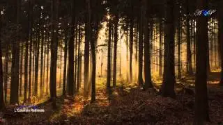 Michel P&eacute;p&eacute; -  L'Eclaircie Radieuse (relaxing, soothing music)