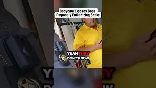 BodyCam Exposes Cops Purposely Euthanizing Snake #shorts #cops #snake #police #law #tatcha #office