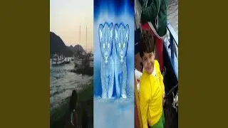 O Seu
