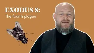 Exodus 8 - The fourth plague