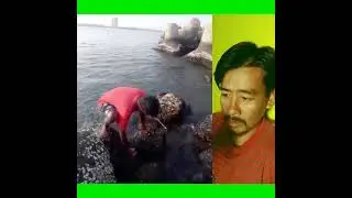 yengbabu fana nungairi || crabs 🦀|| #viralvideo #manipur #jiribam #crab #mangan_khaaba #mangankhaaba