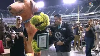 Dogs set world record at U.S. Cellular Field