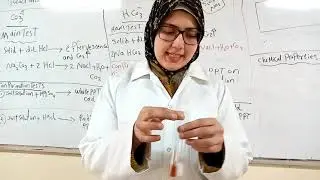 exp 5     of chemistry lab . eng esraa sayed