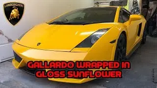 Lamborghini Gallardo Wrapped In Gloss Sunflower
