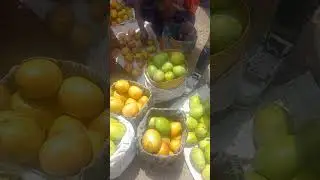 29 March 2024 best mangos