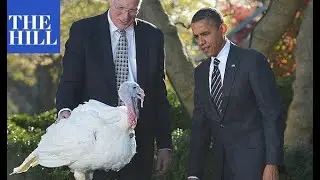 THANKSGIVING FLASHBACK: EVERY Obama Thanksgiving turkey pardon!